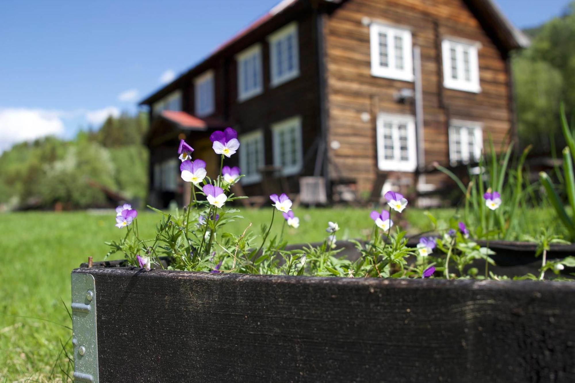 Sevletunet B&B And Cabins Rodberg Buitenkant foto