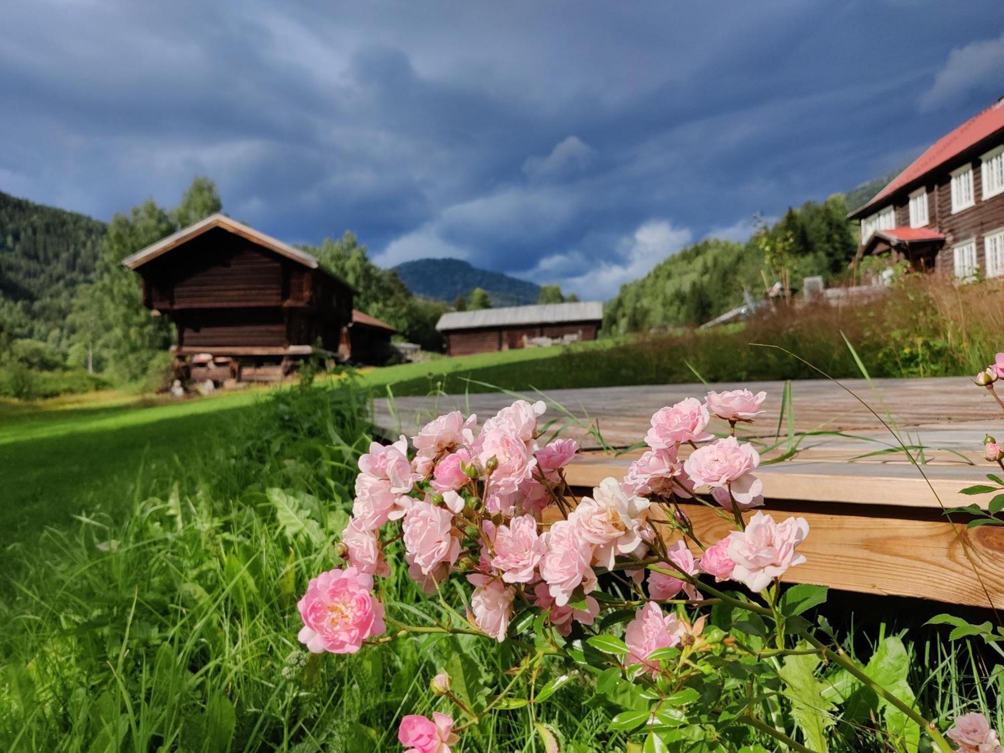 Sevletunet B&B And Cabins Rodberg Buitenkant foto