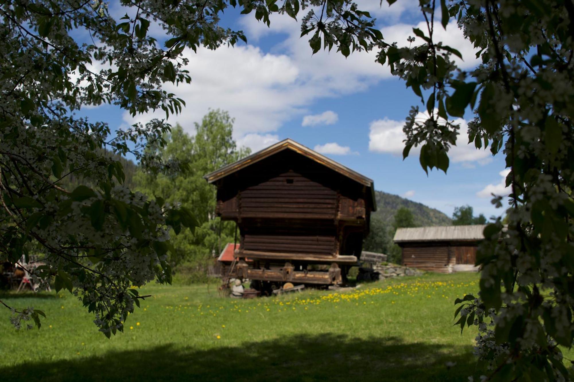 Sevletunet B&B And Cabins Rodberg Buitenkant foto