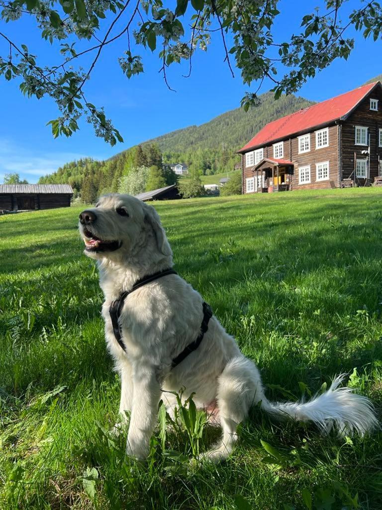 Sevletunet B&B And Cabins Rodberg Buitenkant foto