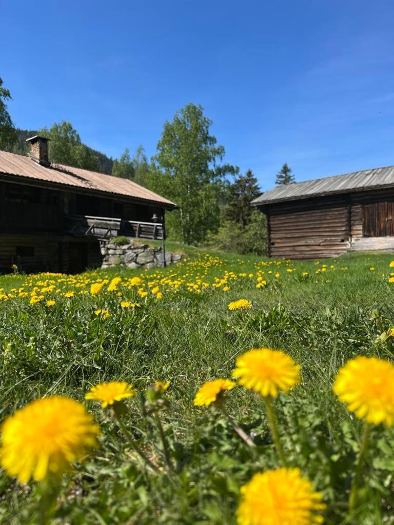 Sevletunet B&B And Cabins Rodberg Buitenkant foto